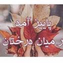 images (6)0